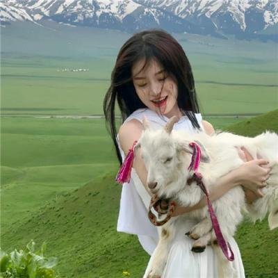 豪登高铁